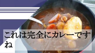 これは完全にカレーですね